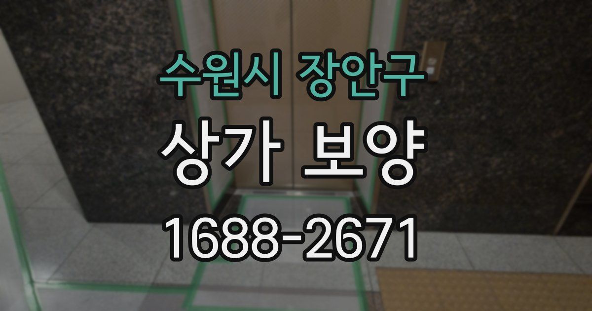 수원시 장안구 상가 보양