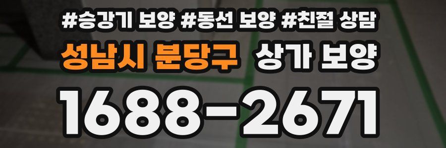 성남시 분당구 상가 보양