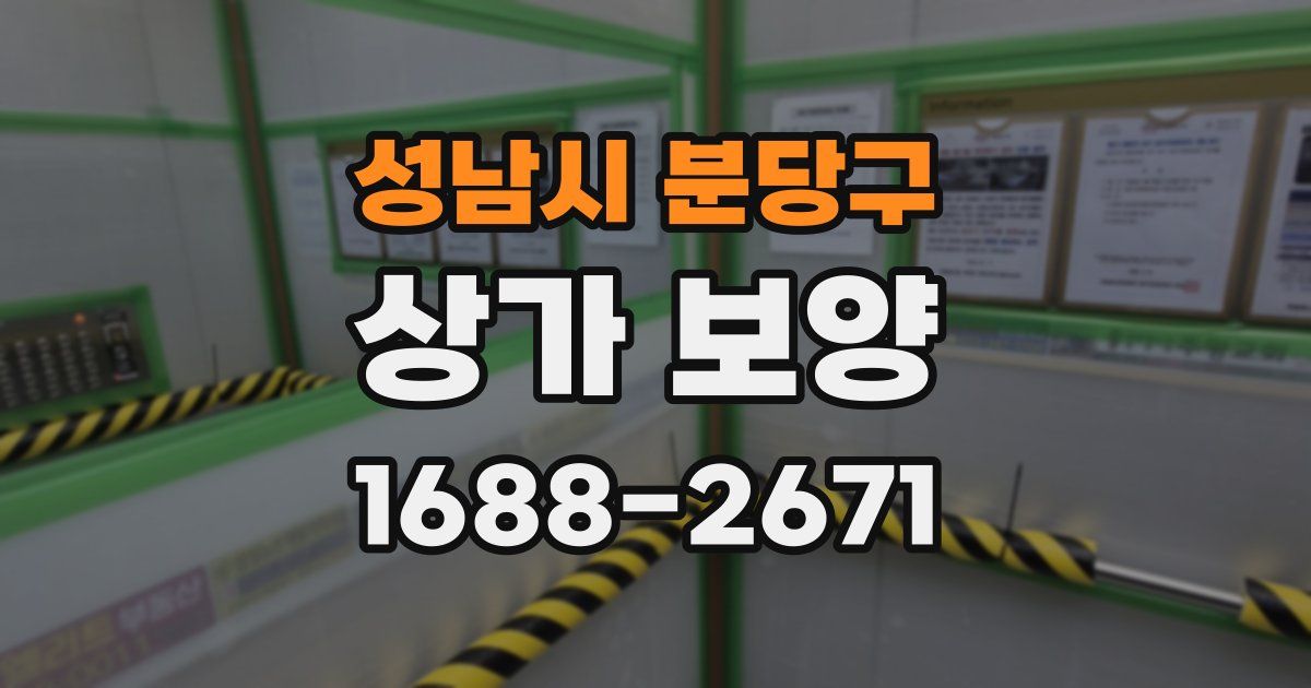 성남시 분당구 상가 보양