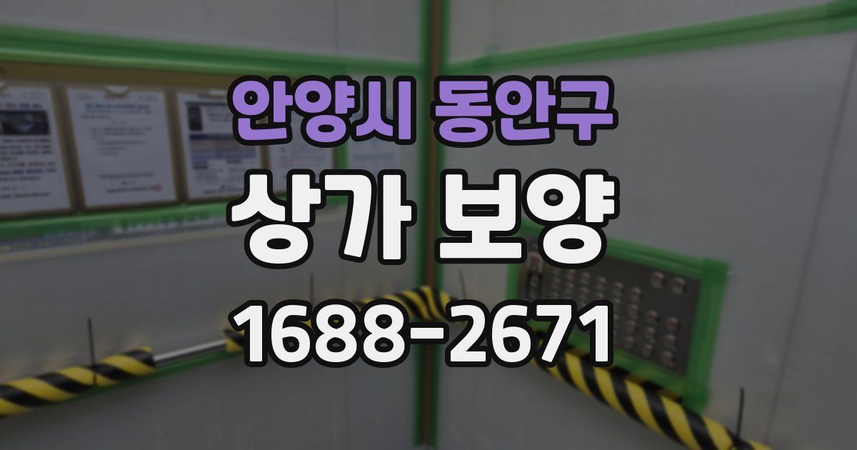 안양시 동안구 상가 보양
