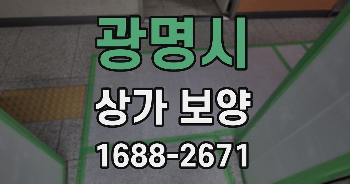 광명시 상가 보양