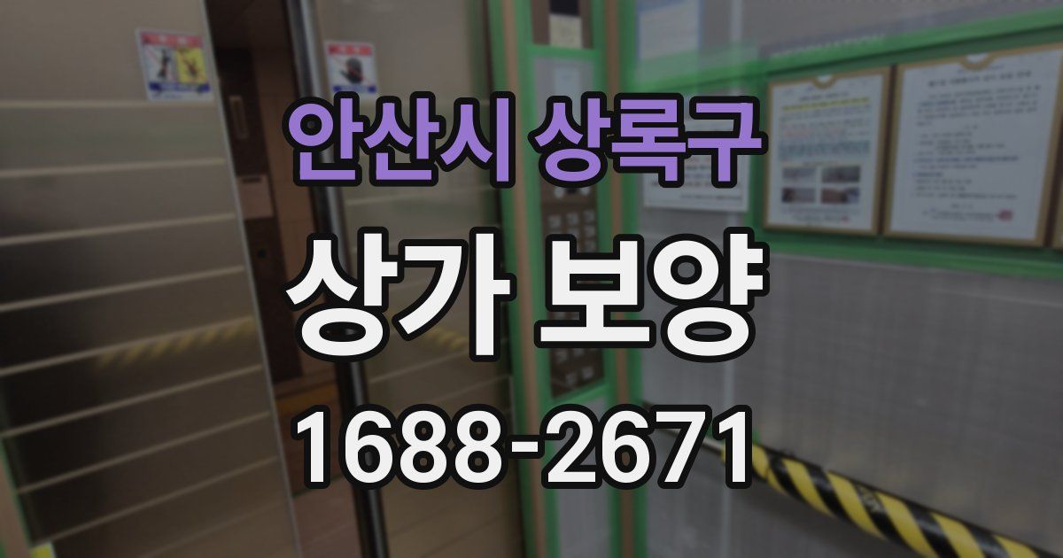 안산시 상록구 상가 보양