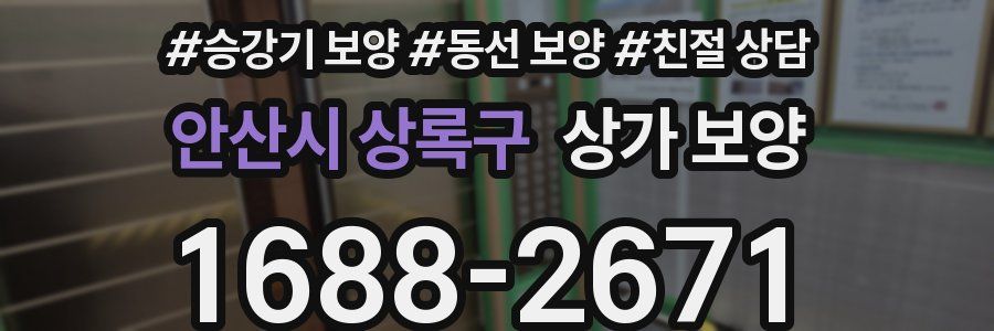 안산시 상록구 상가 보양