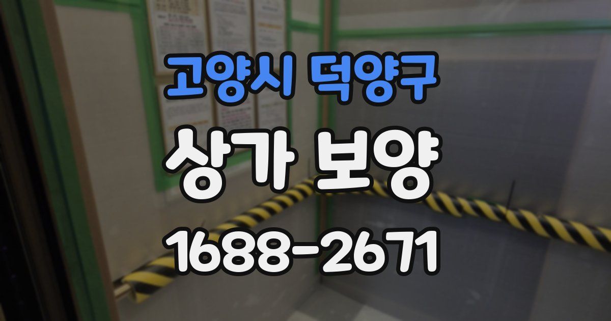 고양시 덕양구 상가 보양