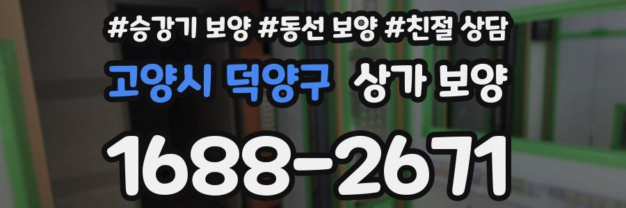 고양시 덕양구 상가 보양