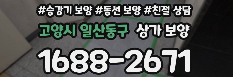 고양시 일산동구 상가 보양