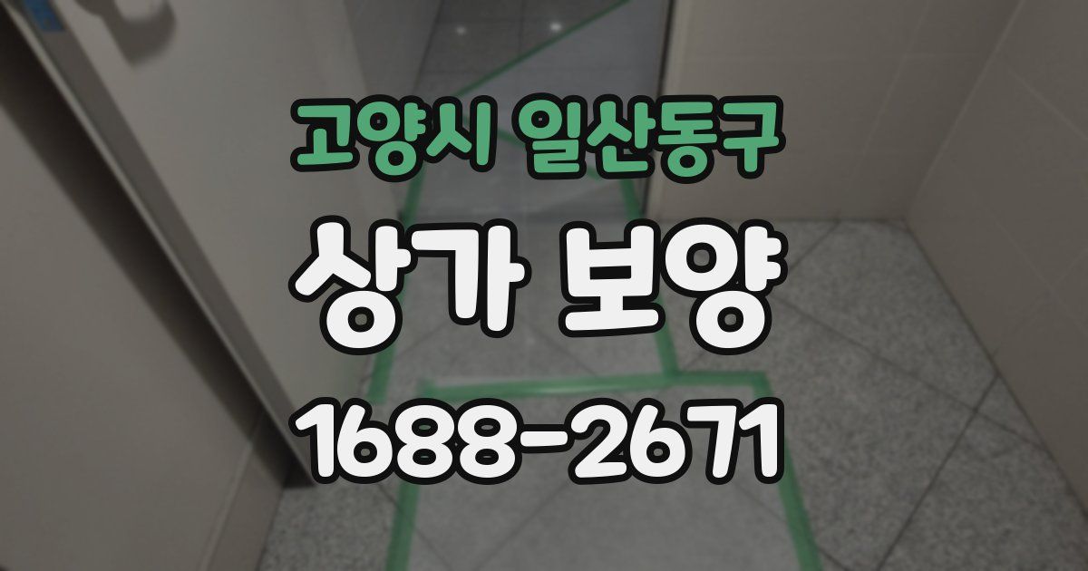 고양시 일산동구 상가 보양