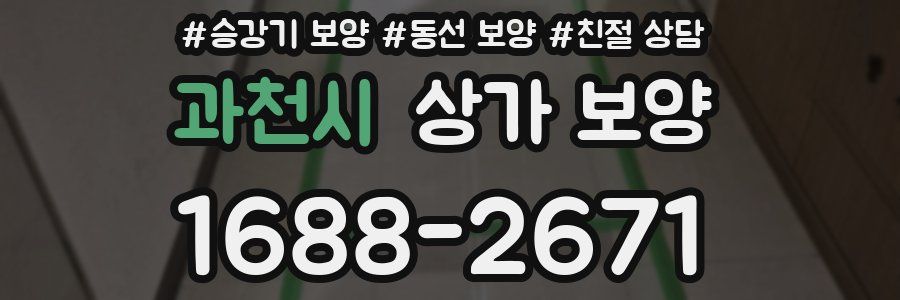 과천시 상가 보양