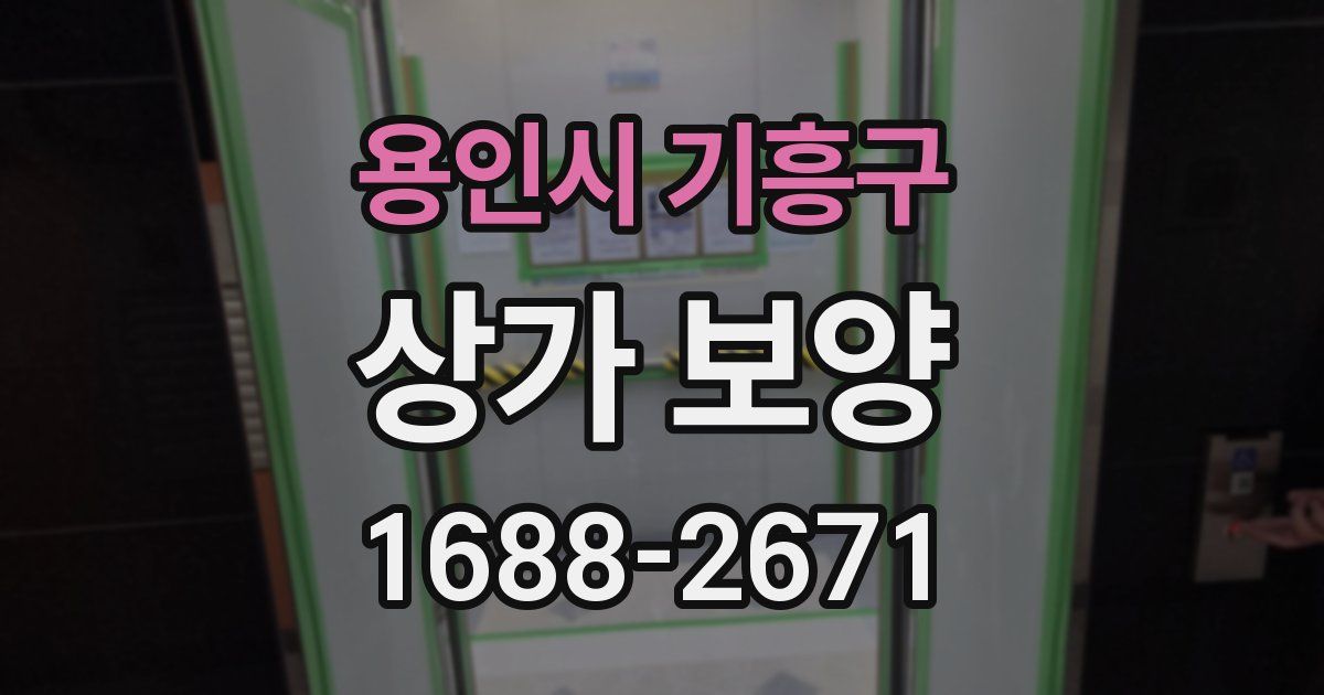 용인시 기흥구 상가 보양