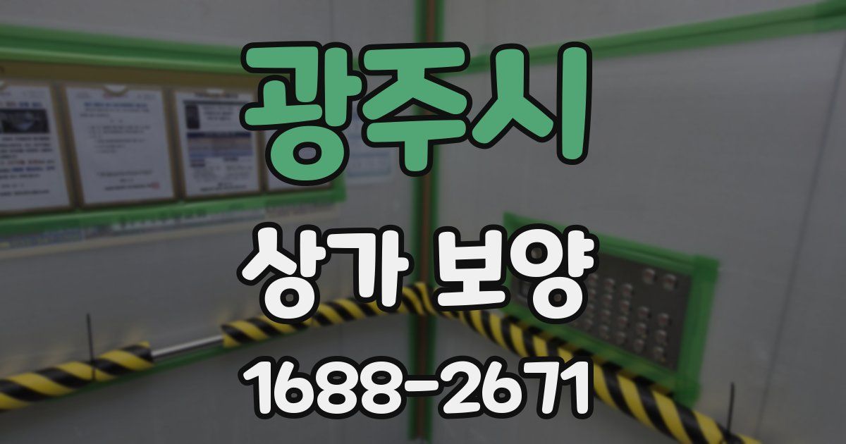 광주시 상가 보양