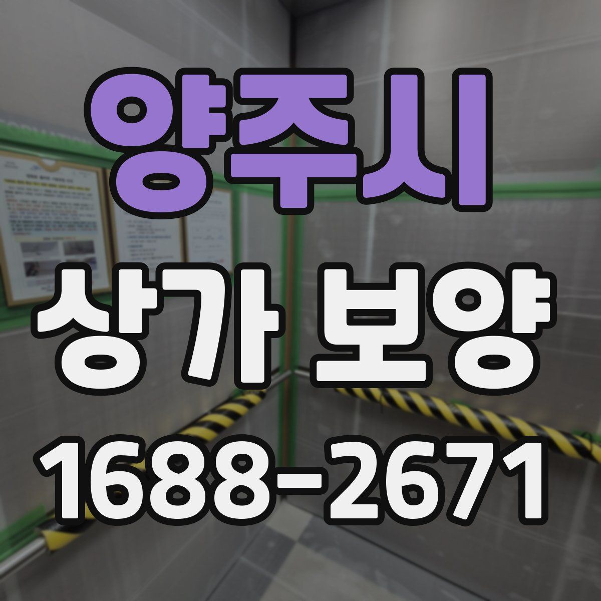 양주시 상가 보양