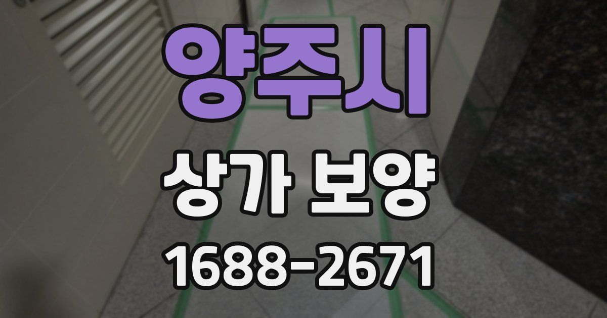 양주시 상가 보양