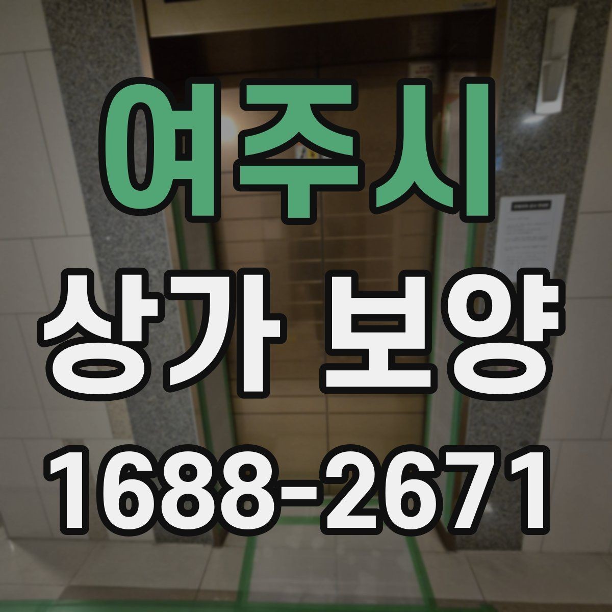 여주시 상가 보양 종류별 특징과 차이