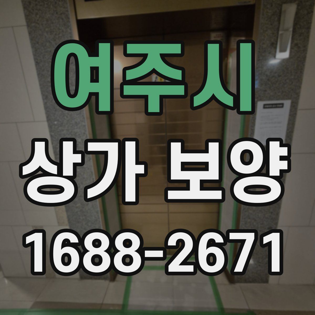 여주시 상가 보양