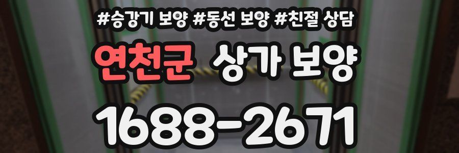 연천군 상가 보양
