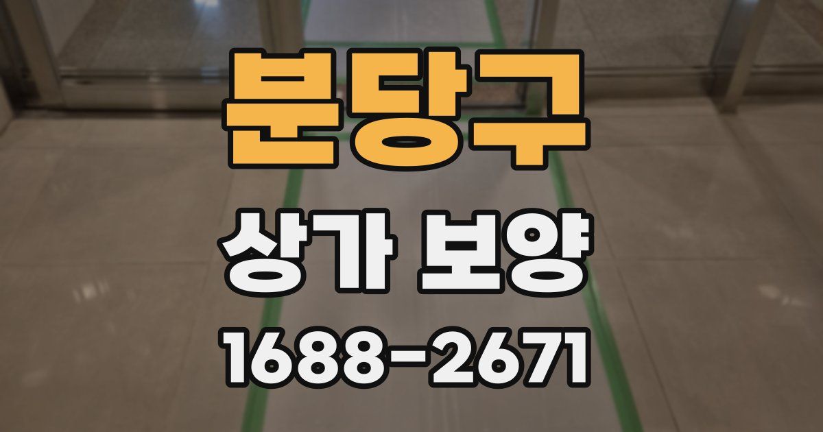 분당구 상가 보양