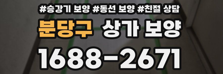 분당구 상가 보양