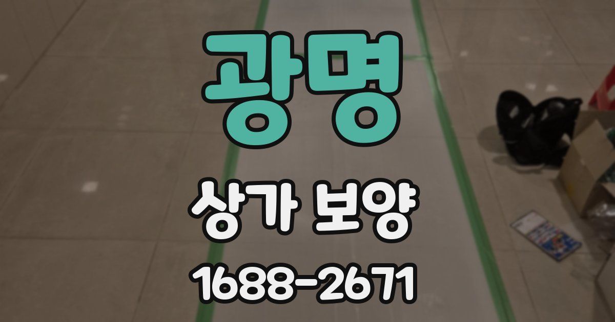 광명 상가 보양