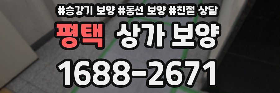 평택 상가 보양