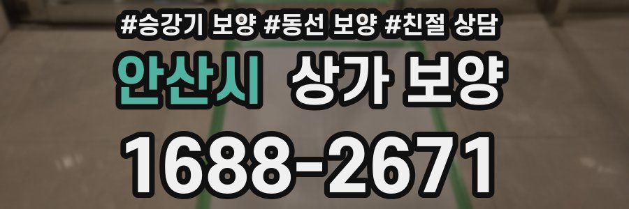 안산시 상가 보양