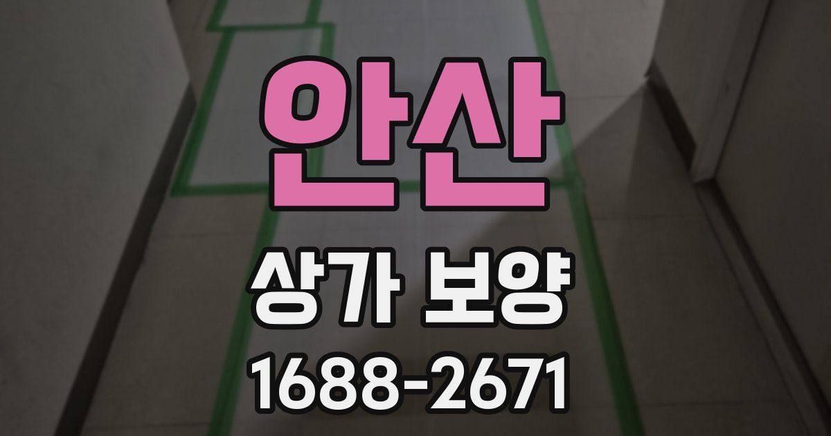 안산 상가 보양