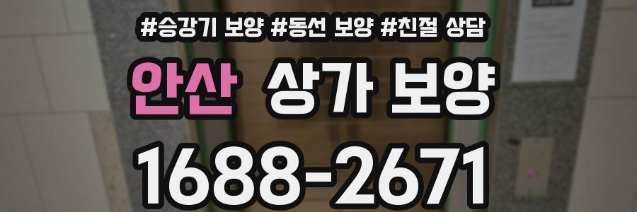 안산 상가 보양