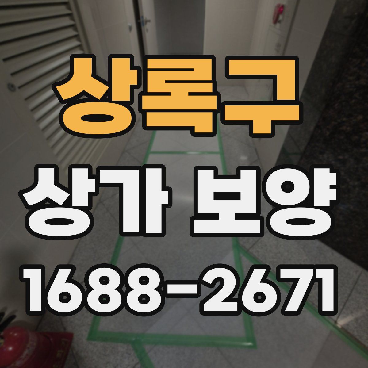 상록구 상가 보양