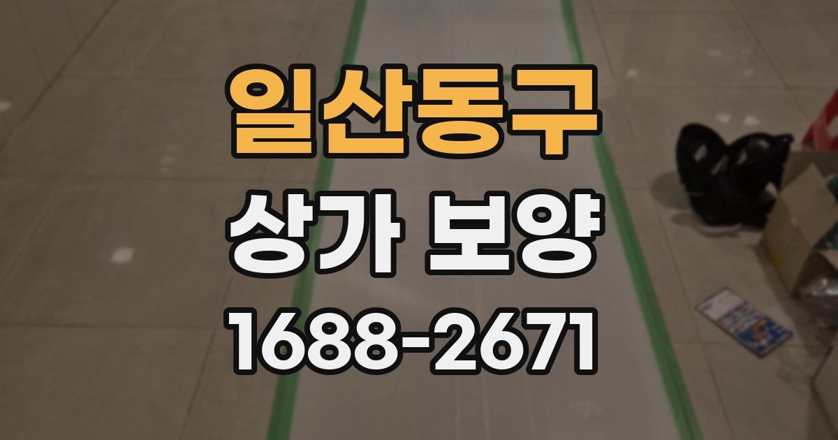일산동구 상가 보양