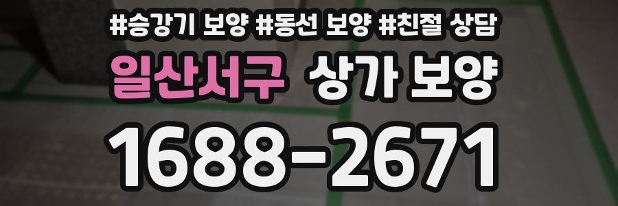 일산서구 상가 보양