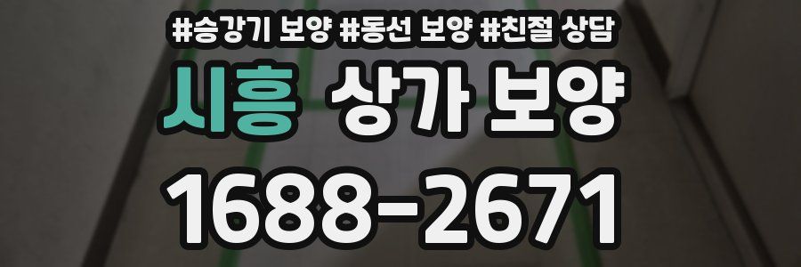 시흥 상가 보양