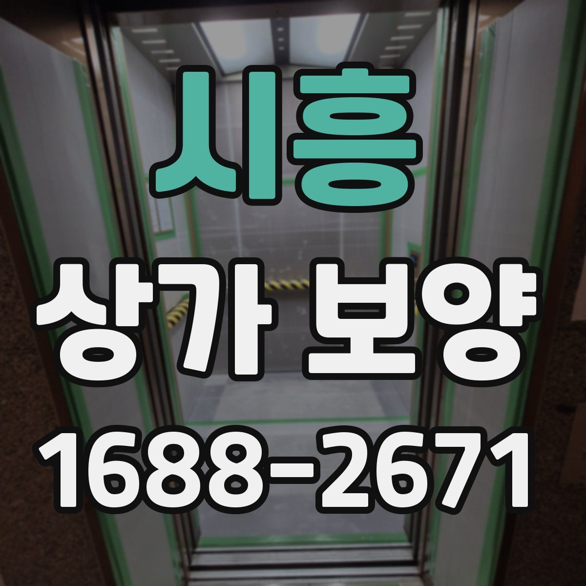 시흥 상가 보양