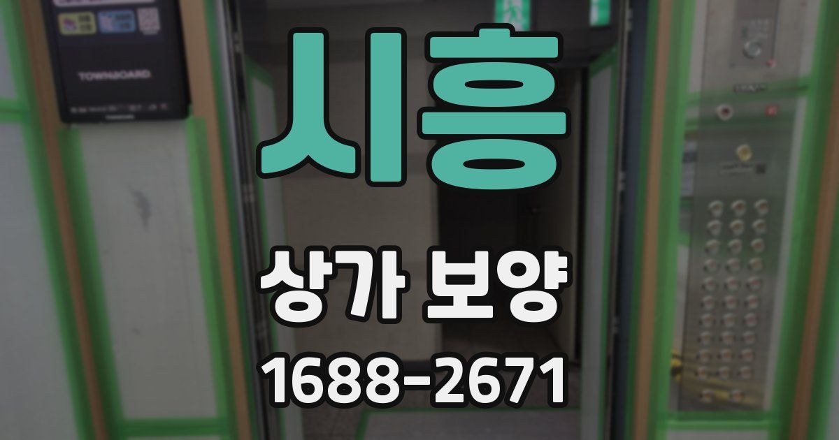 시흥 상가 보양