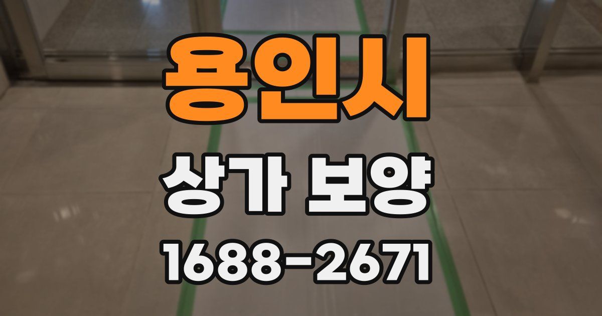 용인시 상가 보양
