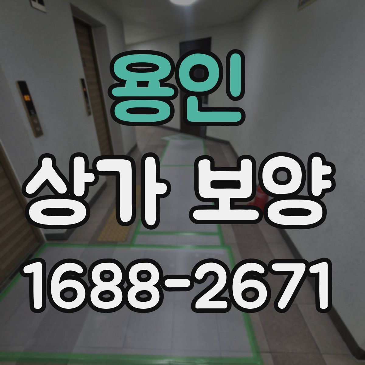 용인 상가 보양