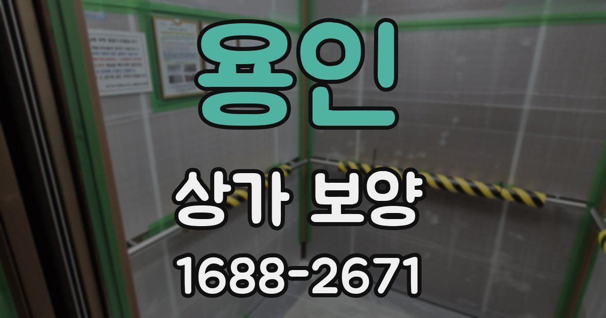용인 상가 보양