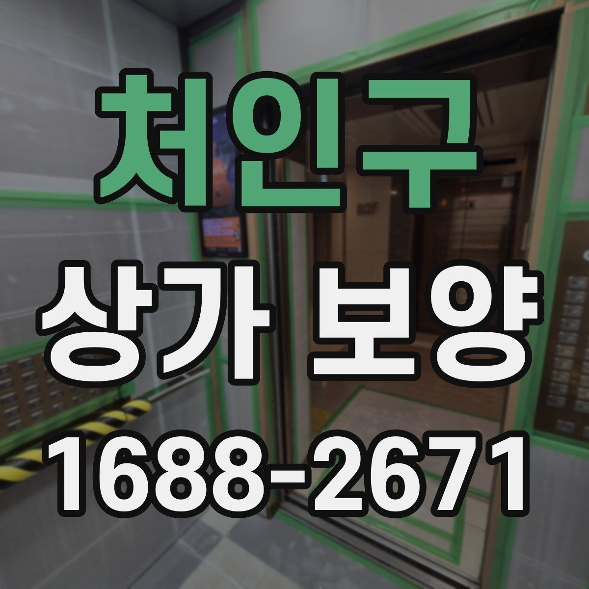 처인구 상가 보양 시기와 순서, 현장에서 자주 놓치는 부분