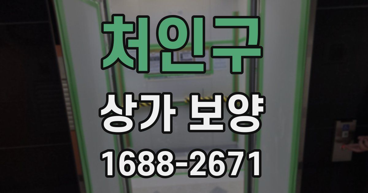 처인구 상가 보양