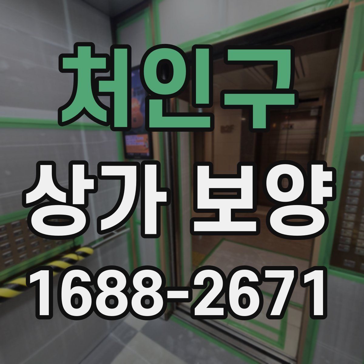 처인구 상가 보양