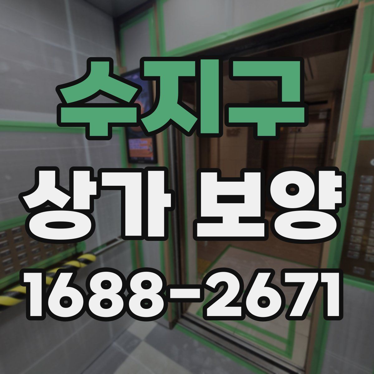 수지구 상가 보양