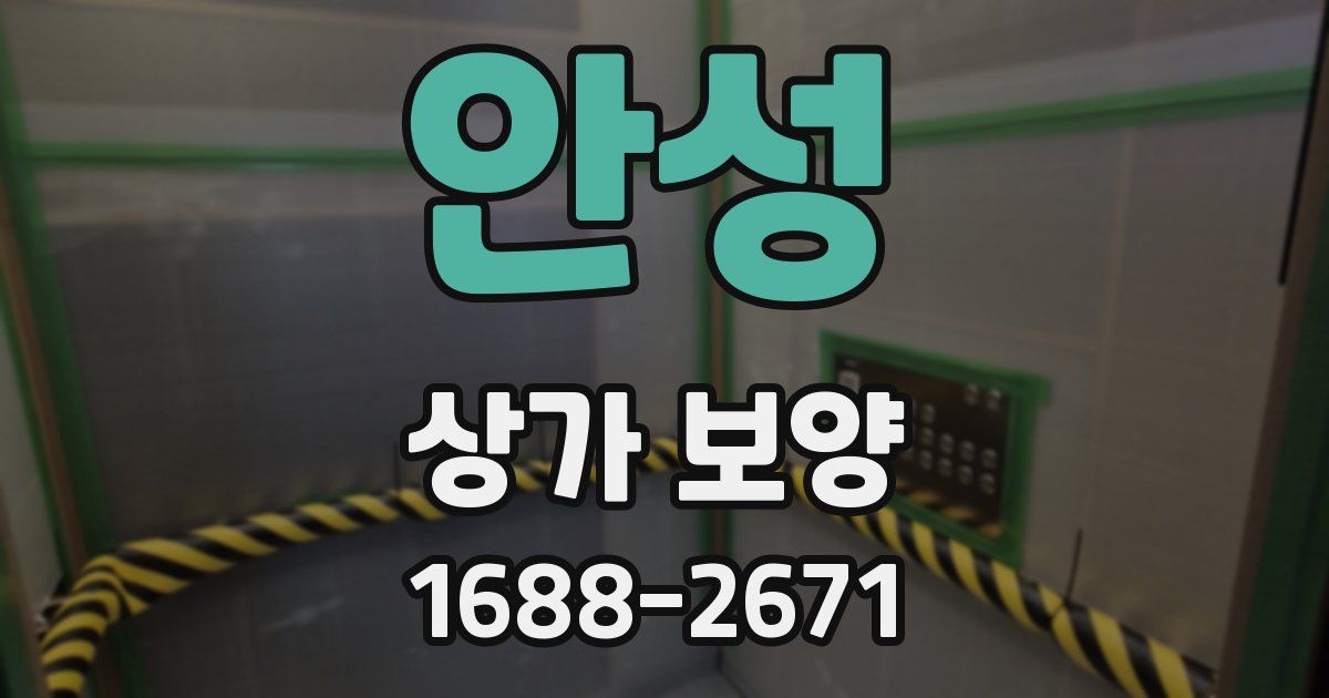 안성 상가 보양
