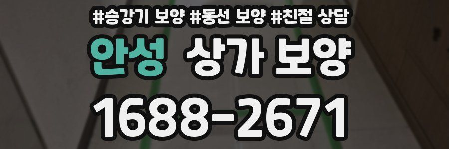 안성 상가 보양