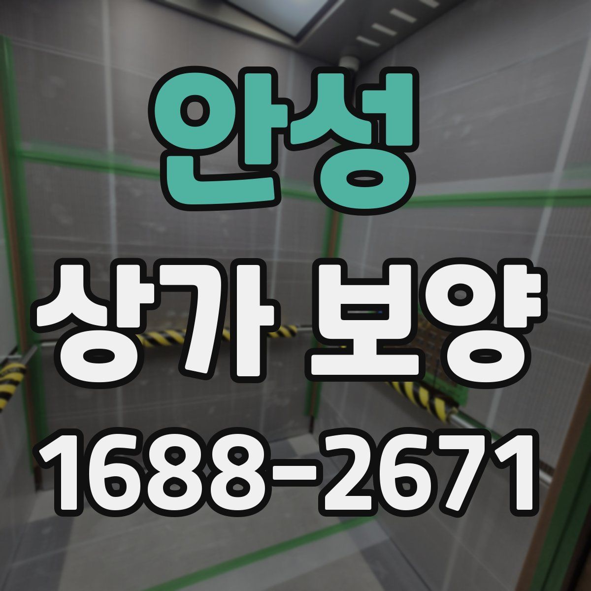 안성 상가 보양