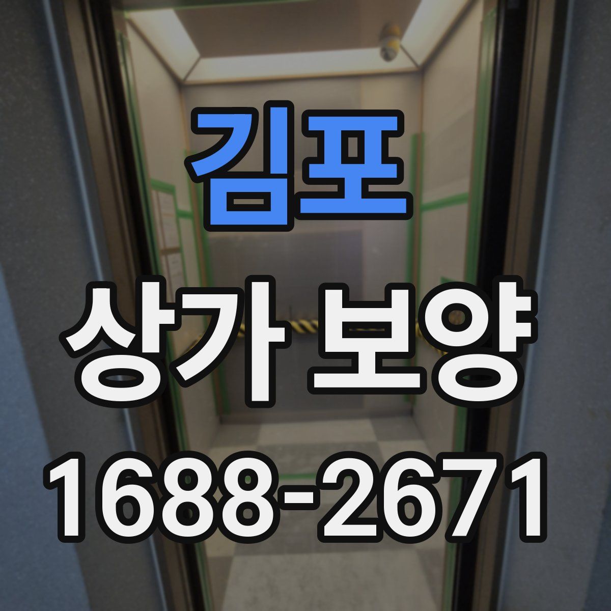 김포 상가 보양