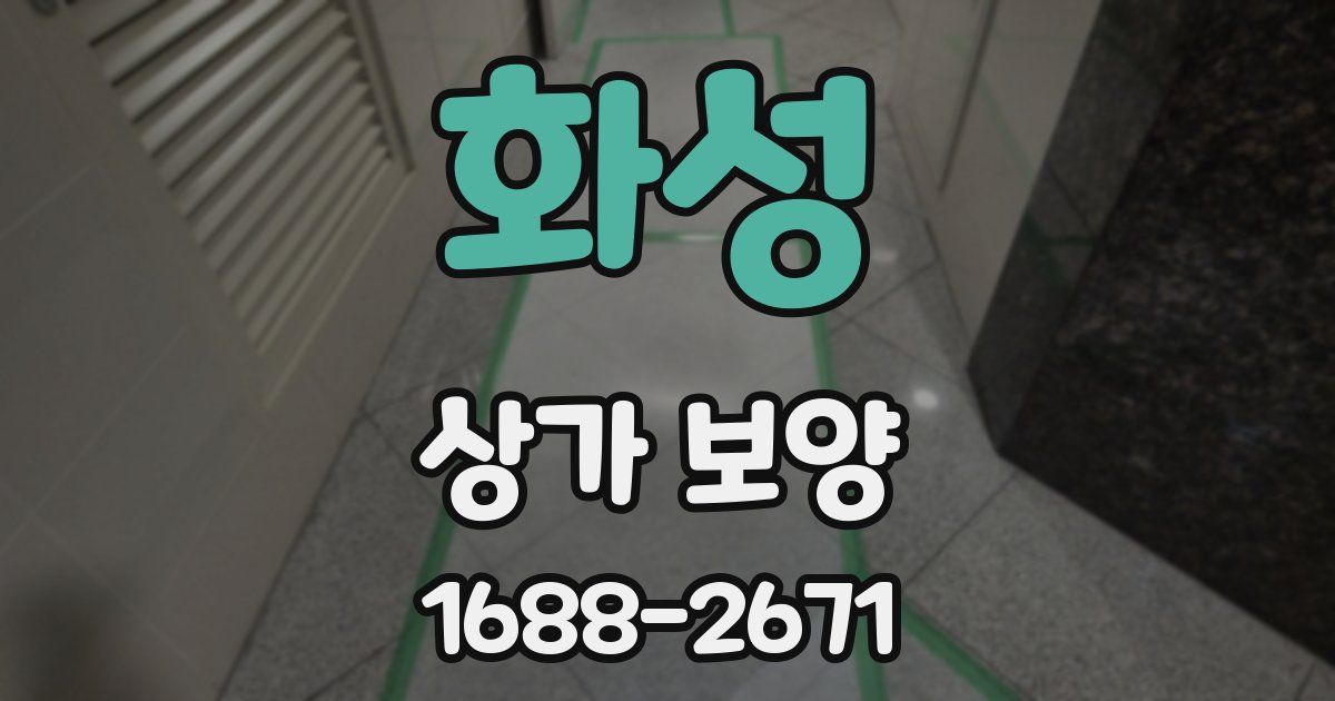 화성 상가 보양