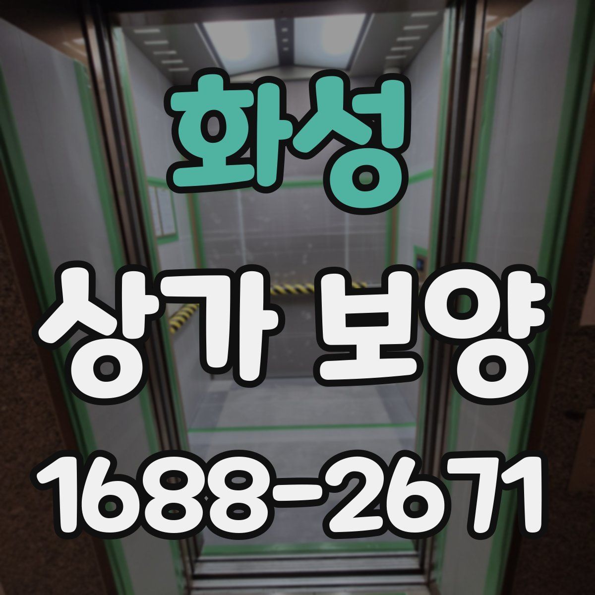 화성 상가 보양