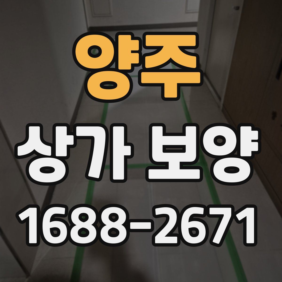 양주 상가 보양