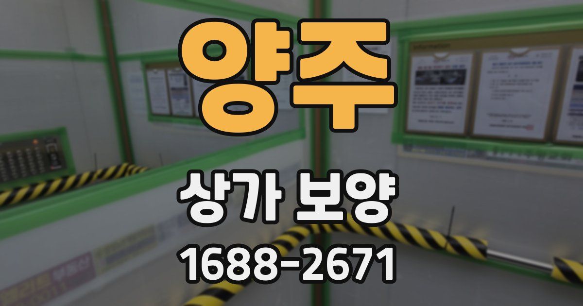양주 상가 보양