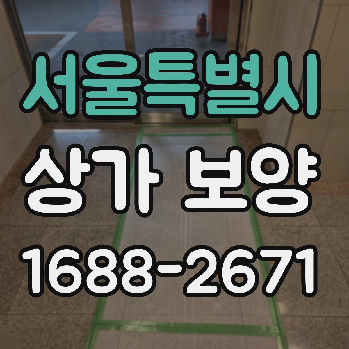 서울특별시 상가 보양