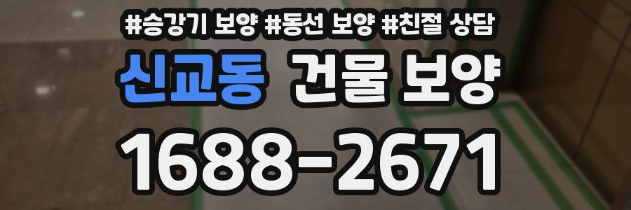 신교동 건물 보양