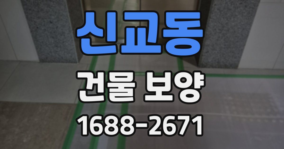 신교동 건물 보양
